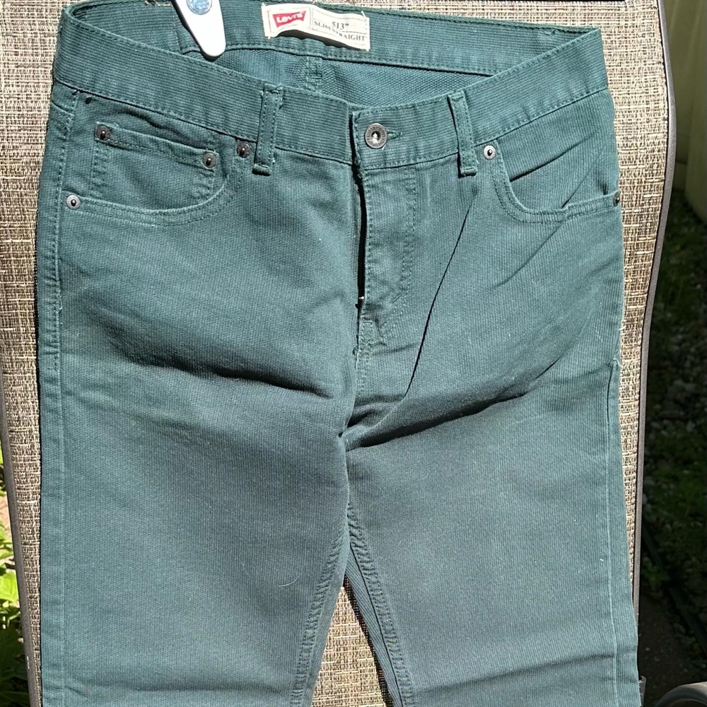 Levi’s 513 Slim Straight pants
